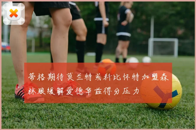 蒂格期待莫兰特或科比怀特加盟森林狼缓解爱德华兹得分压力