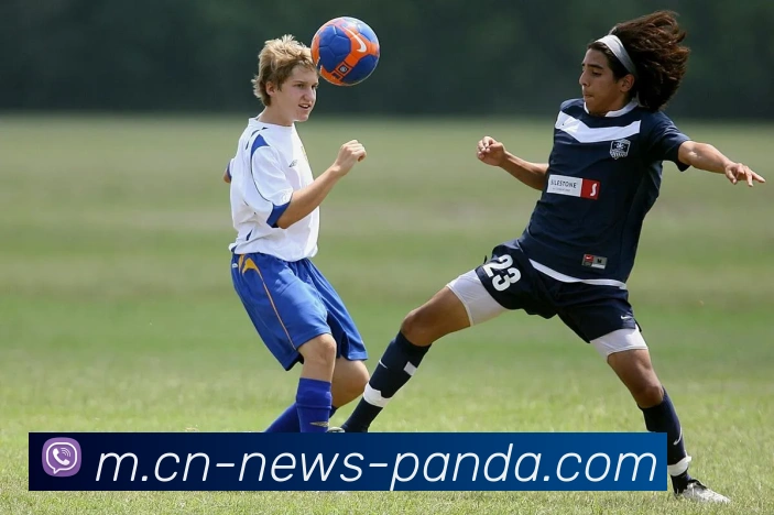 熊猫体育平台生态图